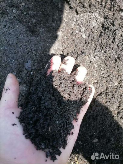 Навоз перегной