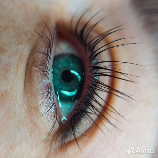 Брови, ресницы