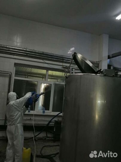 Уничтожение тараканов клещей ос