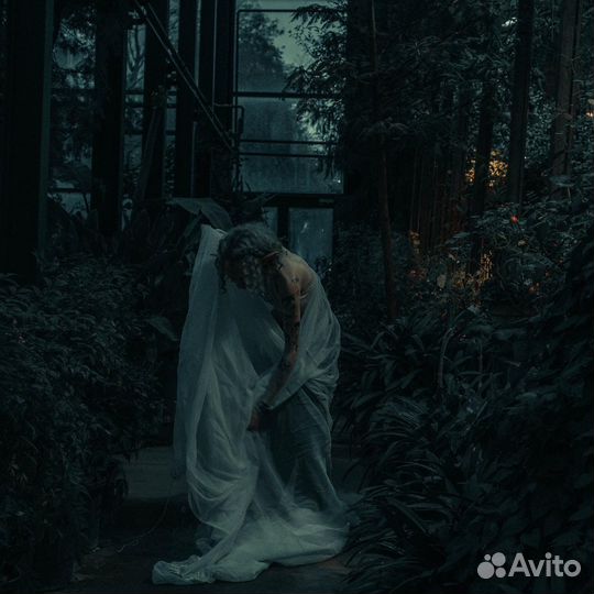 Фотограф и видеограф