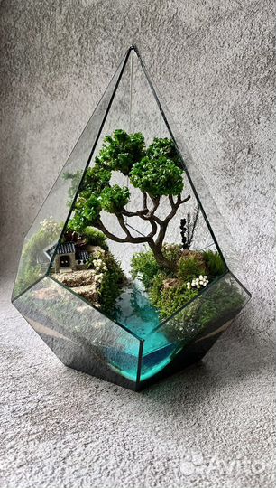 Моссариум подарки цветы