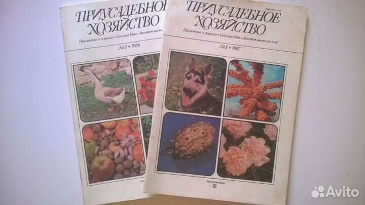 Книги Тени исчезают в полдень, Каменный пояс