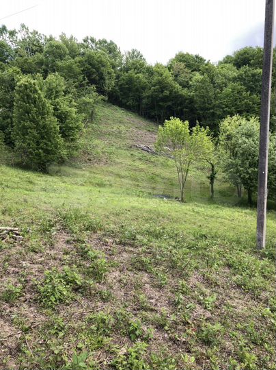 Участок 12 сот. (ИЖС)