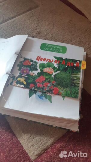 Энциклопедические журналы