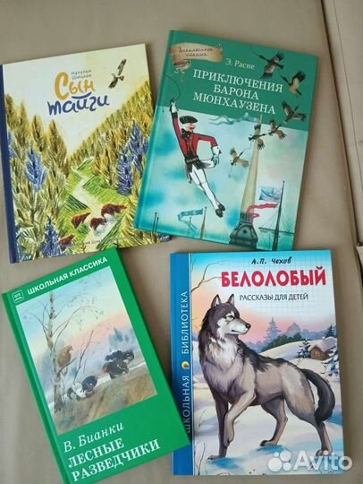 Образование