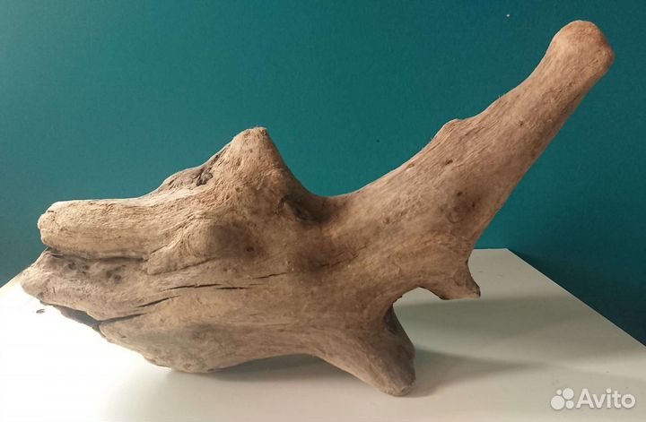 Коряга, дрифтвуд