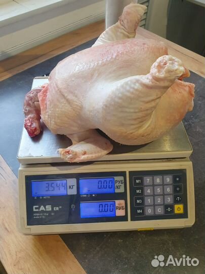 Мясо бройлера