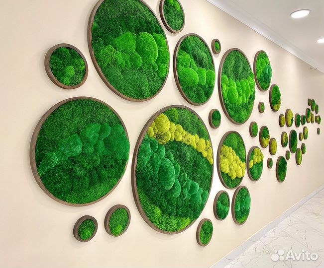 Вертикальное озеленение. Мох. Фитостена. Декор