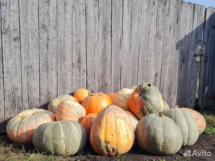 Стихотворения на заказ