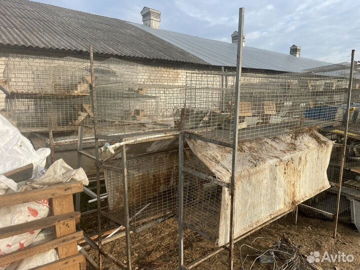 Клетки для кроликов