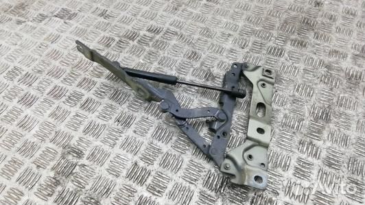 Петля капота BMW 7 F01 (1BA13D501)