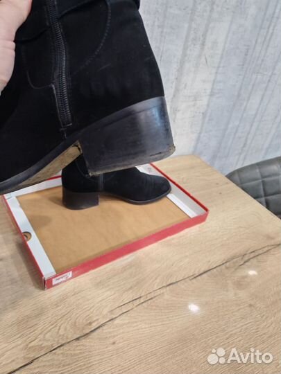 Сапоги женские демисезонные