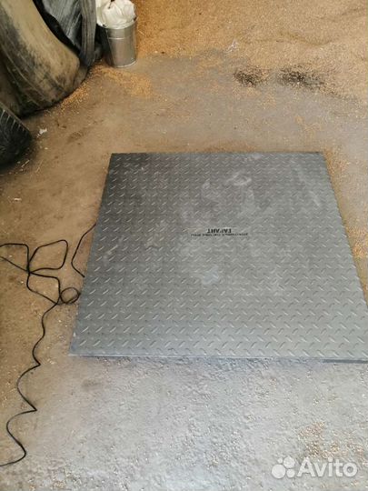 Зерно пшеница