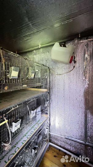Клетка для шиншил