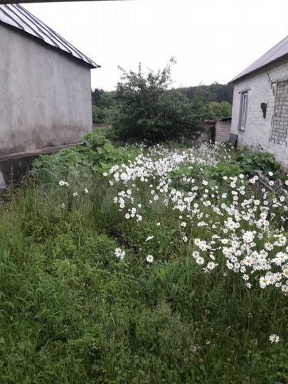 Дом 45 м² на участке 14,8 сот.