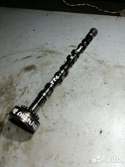 Распредвал выпускной Volkswagen Passat B6 2.0 BPY