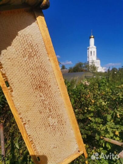 Мед натуральный