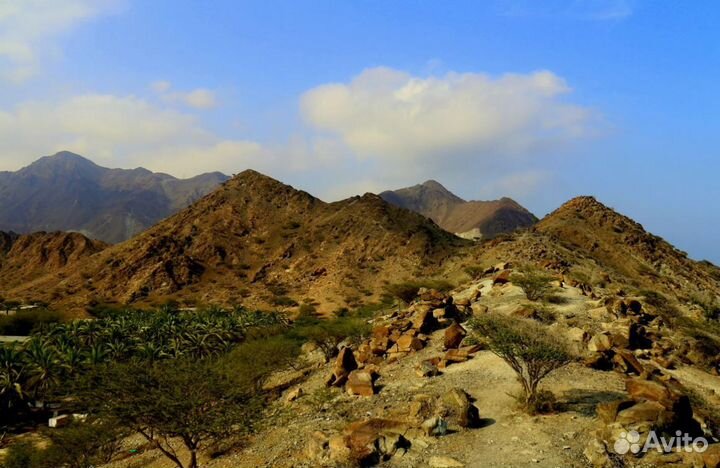 Тур в Фуджейру, ОАЭ 7 нч