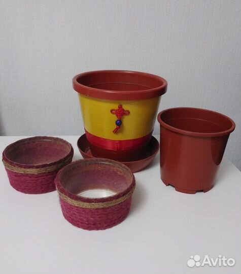 Герань розовая. Пластиковые горшки 0,8 л, 4 л