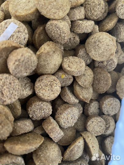 Корм с доставкой. для собак суперпремиум