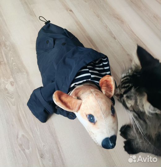 Костюм демисезонный для собаки