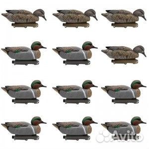 Комплект чучел чирка-свистунка final approach