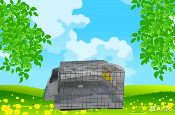 Клетка для перепелов на 30 голов