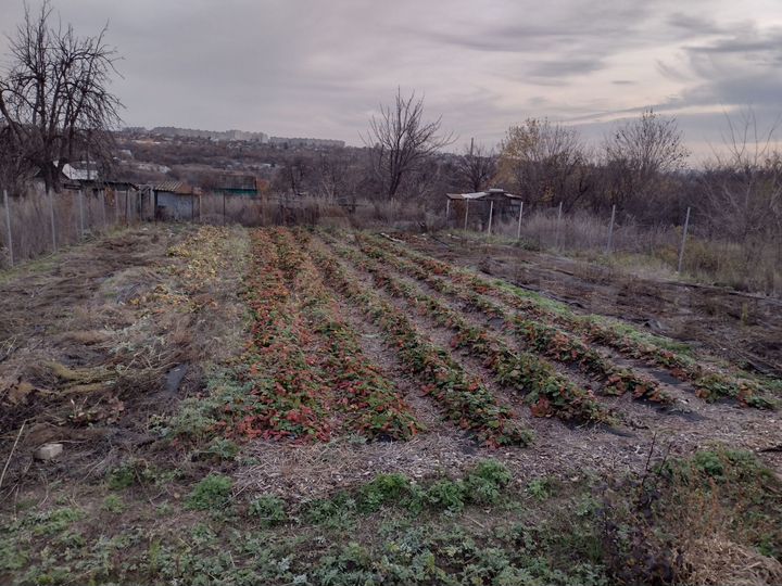 Участок 4,8 сот. (СНТ, ДНП)