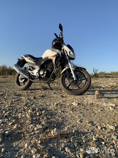 Stels flex 250