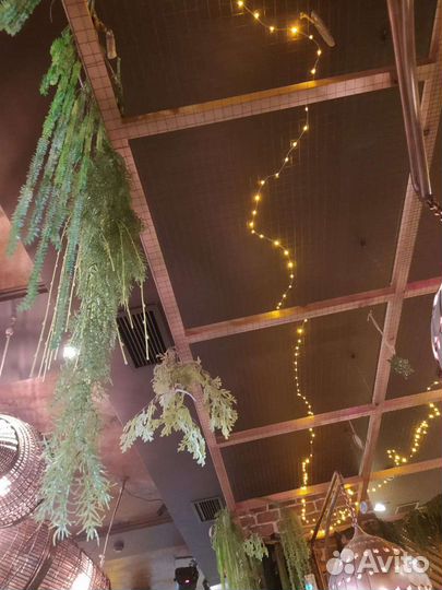 Вертикальное озеленение