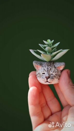 Кот кашпо по фото на заказ