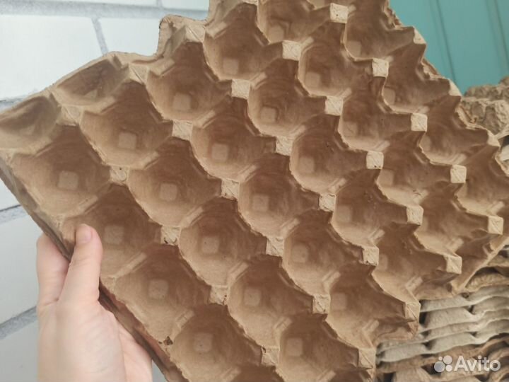 Ячейки для куриных яиц лотки