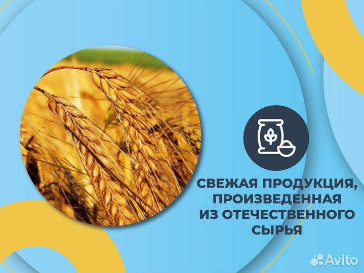 Клевер Люцена