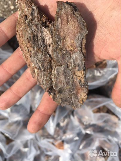 Кора сосновая / мульча / кора / доставка