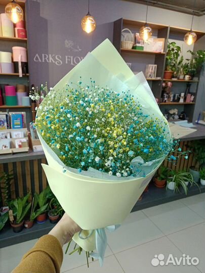 Цветы гипсофилы. Букет гипсофил. Цветы. Доставка