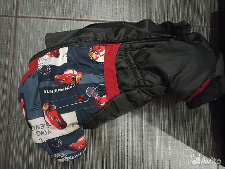 Вещи на собаку мелкой породы