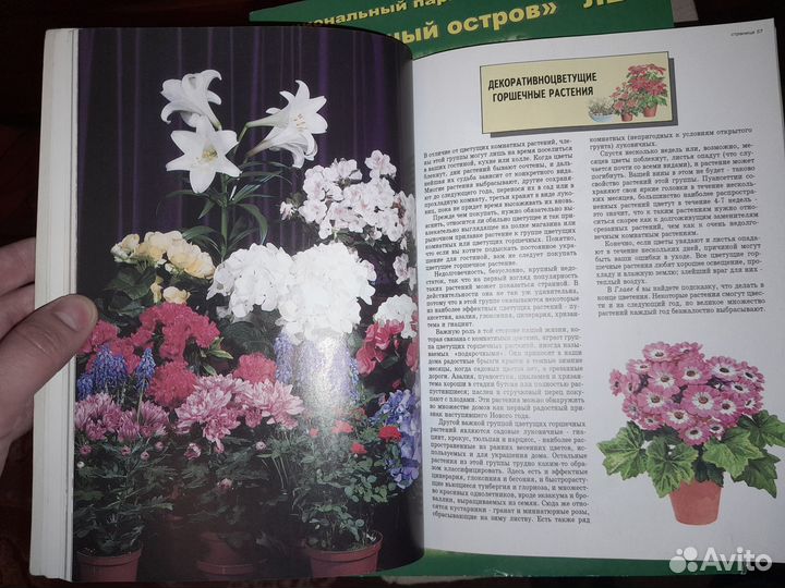 Крутая книга про комнатные растения