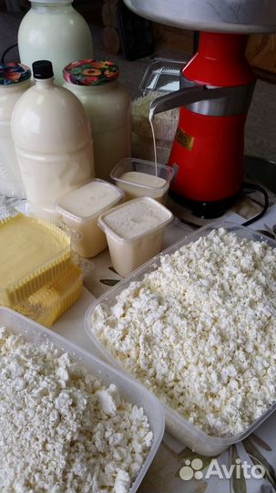 Продам домашние молоко,сметана творог