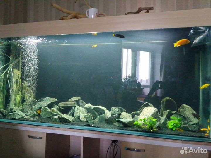 Аквариум 600 л с тумбой и всем комплектом