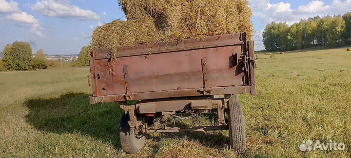 Трактор МТЗ (Беларус) 50, 1979