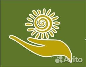 Сиделка компаньонка без проживания