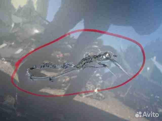 Дверь передняя правая BMW X5