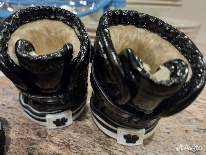 Обувь для собак