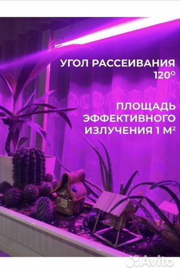 Фитолампа для растений