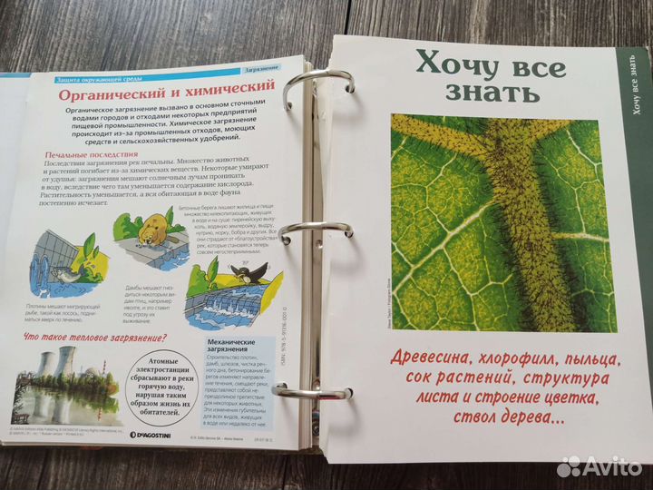 Книга энциклопедия Тайны леса