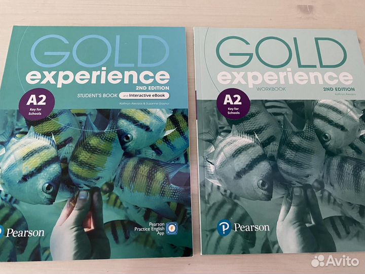 Gold experience 2nd edition