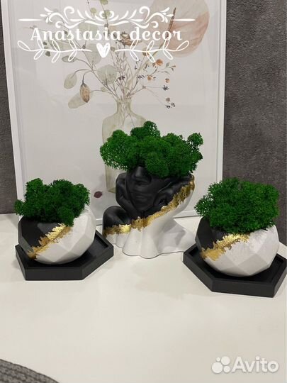 Изделия из гипса со мхом