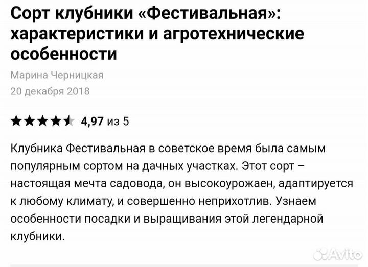 Рассада клубники