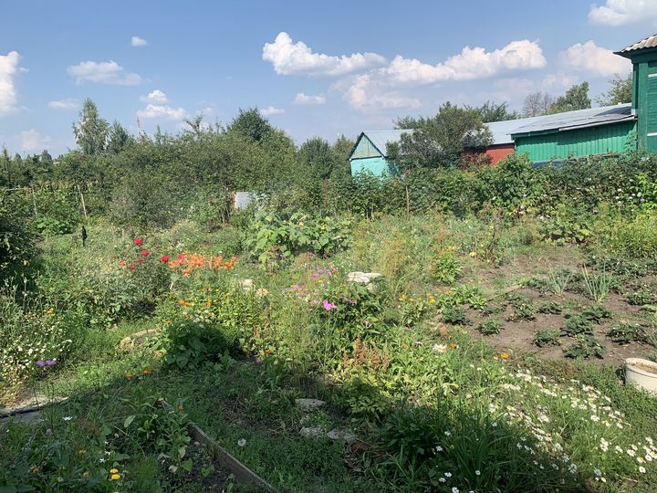 Дом 60 м² на участке 5 сот.