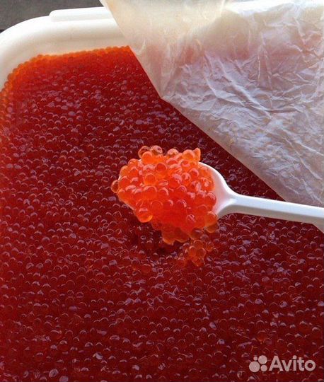 Морепродукты оптом и в розницу